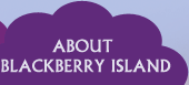 ABOUT BLACKBERRY ISLAND